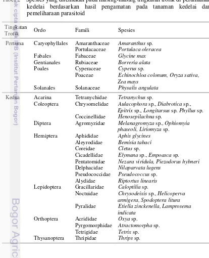 Tabel 2    Spesies yang ditemukan pada masing-masing tingkatan trofik di pertanaman kedelai berdasarkan hasil pengamatan pada tanaman kedelai dan pemeliharaan parasitoid 