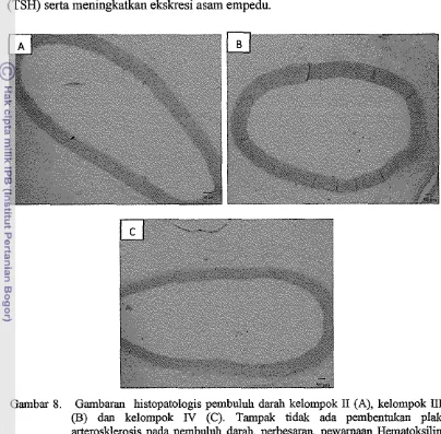 Gambar 8. Gambaran histopatologis pembuluh darah kelompok I1 (A), kelompok 111 
