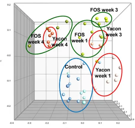 Fig 3. Multidimensional scaling (MDS) of 16S rRNA gene PCR-DGGE proiles from fecal samples from rats on the control, yacon and FOS diets