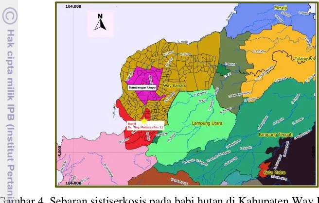 Gambar 4  Sebaran sistiserkosis pada babi hutan di Kabupaten Way Kanan Uji serologi dalam penelitian ini menggunakan ELISA untuk mendeteksi 1998)