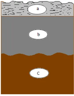 Gambar 4 a) lapisan serasah, b) lapisan tanah gambut dan c) lapisan tanah mineral