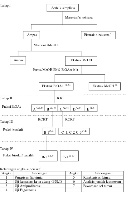 Gambar 3.   Bagan alur ekstraksi dan uji bioaktivitas  