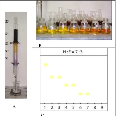 Tabel 2. Hasil fraksinasi ekstrak EtOAc (60 g) dengan kromatografi kolom  