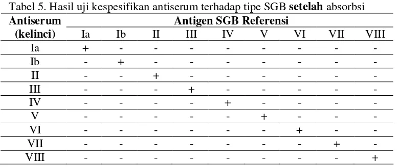 Tabel 4. Hasil uji kespesifikan antiserum terhadap tipe SGB sebelum absorbsi 