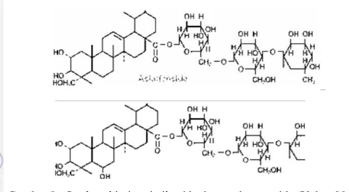 Gambar 9 : Struktur kimia asiatikosida dan madecassosida (Vohra 2012) 