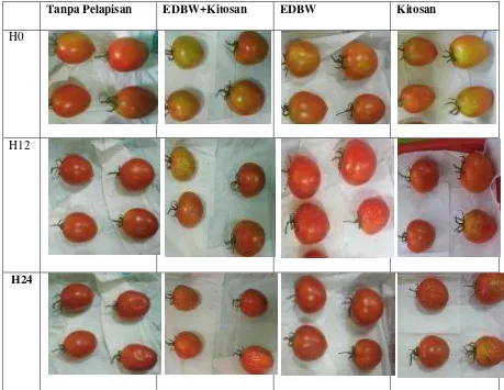 Gambar 3. Data Warna buah tomat setelah aplikasi selama 25 hari pengamatan 