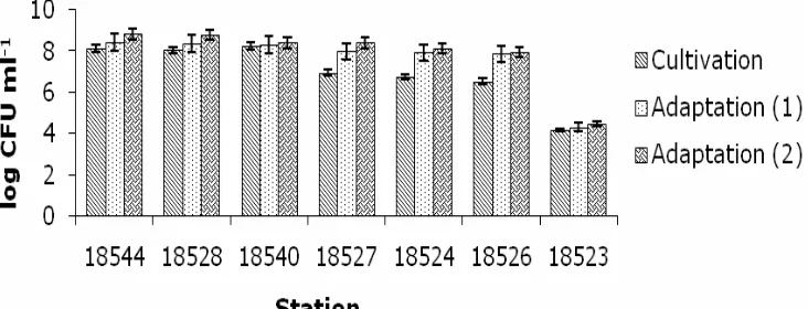 Figure 4. Bacterial population growth after cultivation and adaptation process. 
