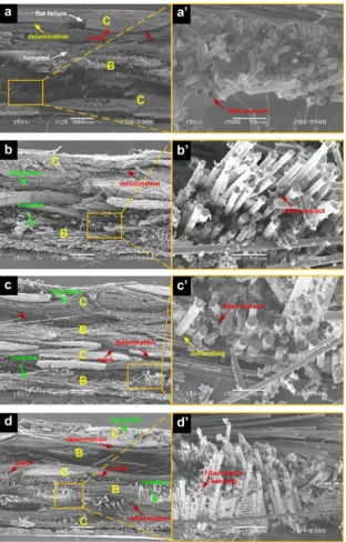 Fig. 8. Low and high magniﬁcation SEM images of the cross-section of the fractured surfaces of hybrid composite laminates with carbon layer at the compression side afterﬂexural loading: (a and a0) H1, (b and b0) H2, (c and c0) H3, and (d and d0) H4