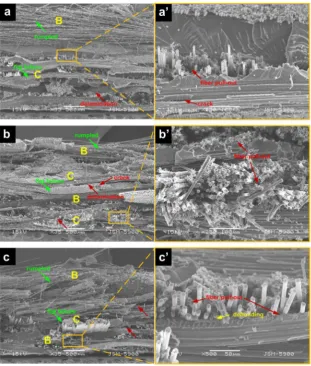 Fig. 9. Low and high magniﬁcation SEM images of the cross-section of the fractured surfaces of hybrid composite laminates with basalt layer at the compression side afterﬂexural loading: (a and a0) H5, (b and b0) H6, and (c and c0) H3