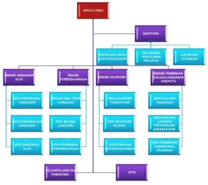 Gambar 2.1 Struktur Organisasi Dinas Keuangan Aceh 