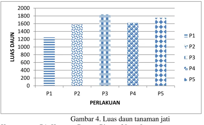 Gambar 4. Luas daun tanaman jati 