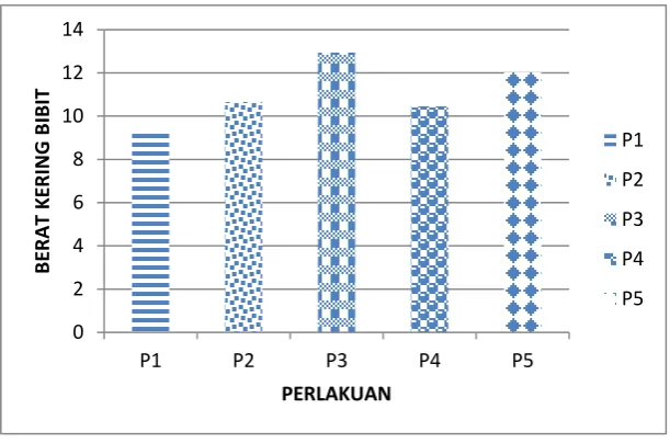Gambar 5.  Berat Kering Bibit 