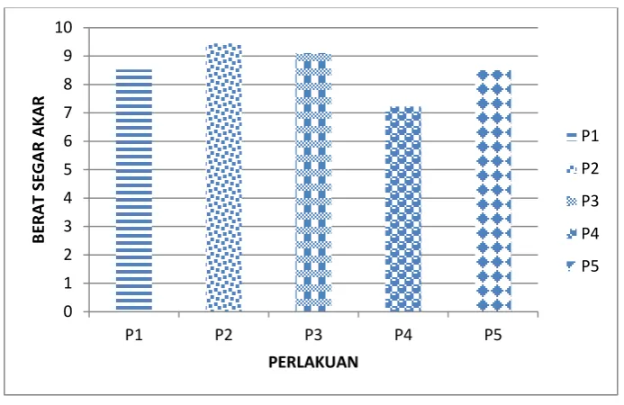 Gambar 7. Berat Segar akar tanaman Jati 