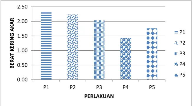Gambar 8. Berat kering akar jati 
