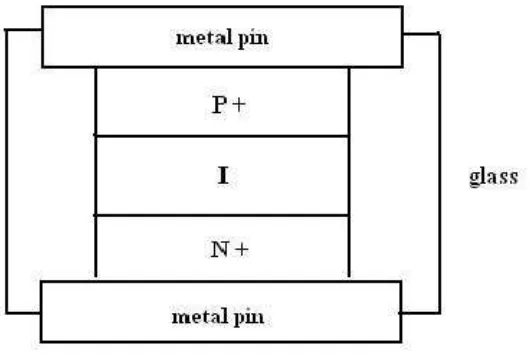 Figure 2.5 Cross Section of PIN Diode 