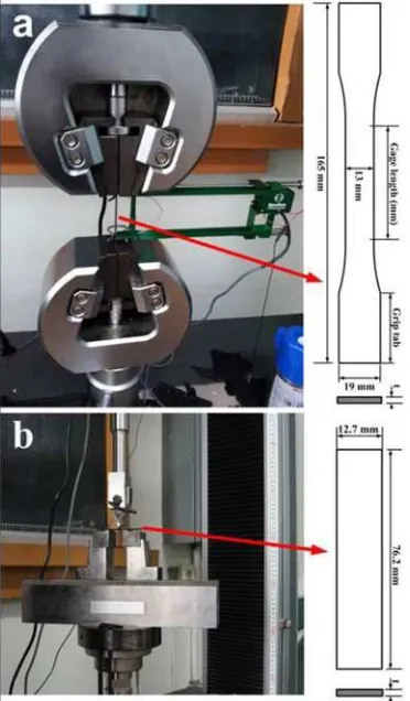 Figure 2. Placement, design and dimension of specimens for (a)tensile and (b) flexural tests.