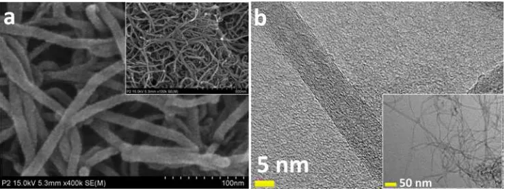 Figure 3. (a) FE-SEM and (b) TEM images of the multiwalled carbon nanotubes used in the present study.