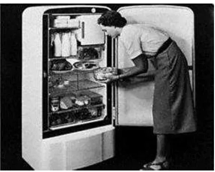 Figure 1: A 1950s fridge 