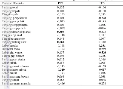 Tabel 3. Nilai faktor koefisien PC3 dan PC5 dari genus  Ompok  dan Kryptopterus 