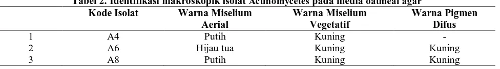 Tabel 2. Identifikasi makroskopik isolat Actinomycetes pada media oatmeal agar Kode Isolat  Warna Miselium Warna Miselium Warna Pigmen 
