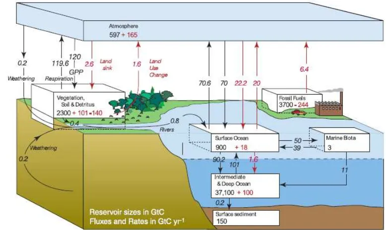 Gambar 3. Siklus karbon untuk tahun 1990-an (Sumber : IPCC, 2007a) 