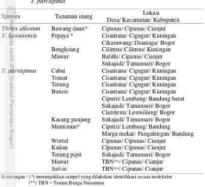 Tabel 3.7  Inang dan lokasi ditemukannya T. alliorum, T. hawaiiensis, dan  