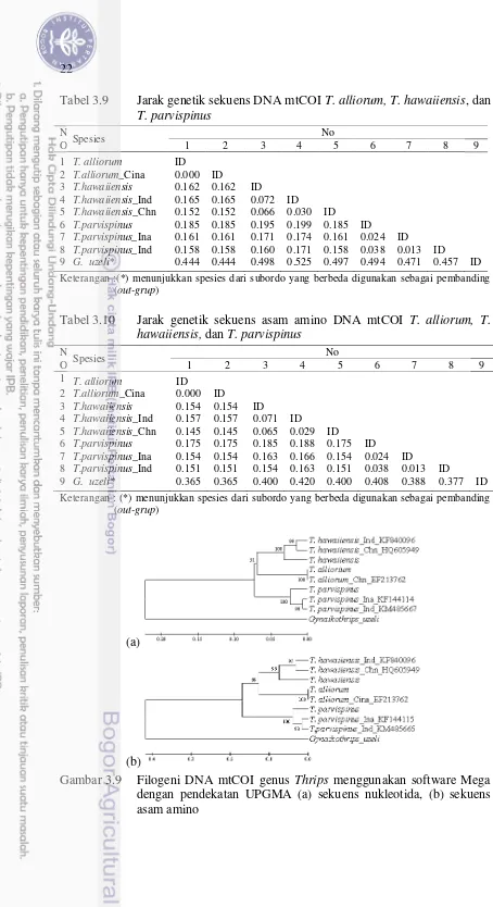 Tabel 3.9 Jarak genetik sekuens DNA mtCOI T. alliorum, T. hawaiiensis, dan 