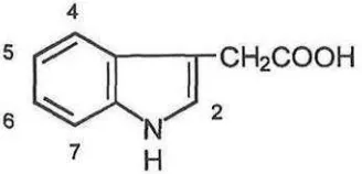 Gambar 2. Cincin Indole-3acetid acid (IAA) (Volker dan Biserka, 1999). 