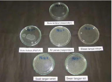 Gambar 7  Pertumbuhan mikroba aerob dalam PCA 