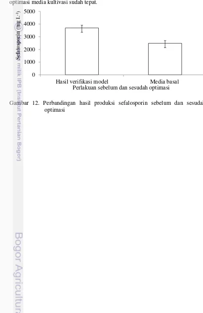 Gambar 12. Perbandingan hasil produksi sefalosporin sebelum dan sesudah 
