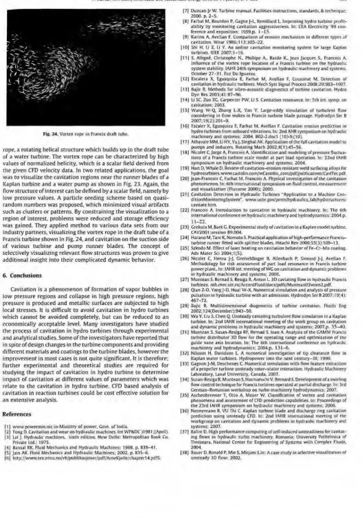 Fig. 24. Vortex rope in Fr:aneit drdrt cube. 