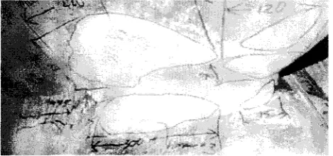 Fig. 8. Typical eroded areas of a Francis runner. 