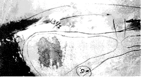 Fig. 13. Limits of cavitation development cavitation limit; (3) within the operating range of a Francis turbine