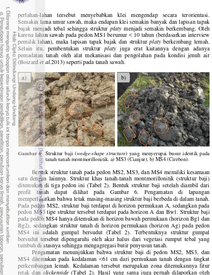 Gambar 6 Struktur baji (wedge-shape structure) yang menyerupai busur identik pada tanah-tanah montmorillonitik