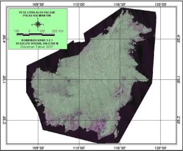 Gambar 4. Peta citra ALOS PALSAR Pulau Kalimantan 