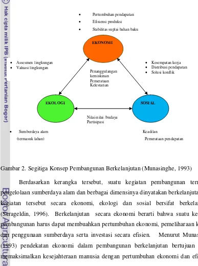 Gambar 2. Segitiga Konsep Pembangunan Berkelanjutan (Munasinghe, 1993) 