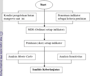 Gambar 8. Tahapan Analisis Rap-Mforest 