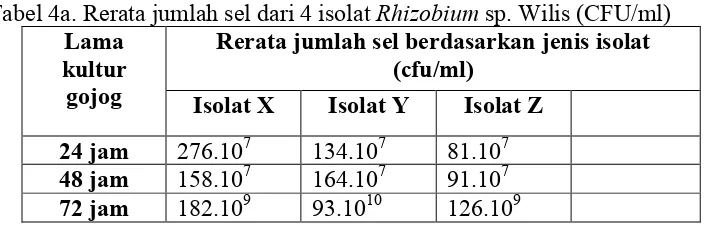 Tabel 4b. Rerata jumlah sel dari 4 isolat Rhizobium sp. Edamame(CFU/ml) 