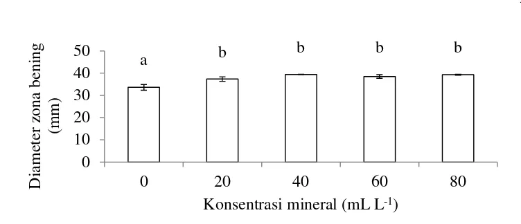 Gambar 12  Diameter zona bening respon terhadap konsentrasi larutan mineral.  
