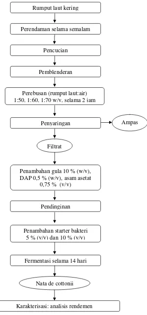 Gambar 2. Diagram alir proses pembuatan nata de cottonii tahap pertama (BPPMHP 2005)  