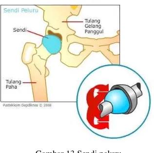 Gambar 15. Sendi Pelana 