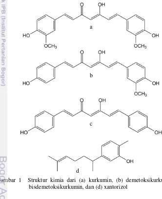 Gambar 1  Struktur kimia dari (a) kurkumin, (b) demetoksikurkumin, (c)