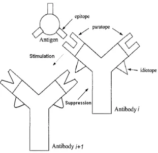 Figure 2 lists the parallel of MRS and immune systems terminologies.  