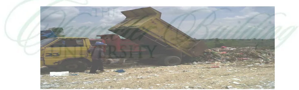 Gambar 8. Pembuangan Sampah Dari Truk Pengangkut Sampah