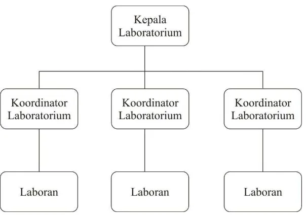 Gambar 2. Bagan Struktur Laboratorium  Menurut Anti Damayanti Hamdani & Isma Kurniatanty 