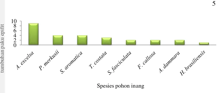Gambar 1 Jumlah spesies tumbuhan paku epifit yang menempati masing-masing 