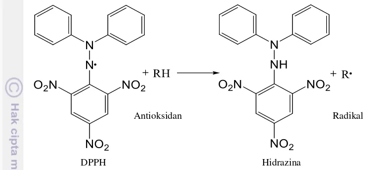 Tabel 1  Aktivitas antioksidan ekstrak kasar dan hasil fraksionasi 
