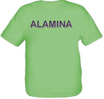 Gambar IV.13. T- shirt 