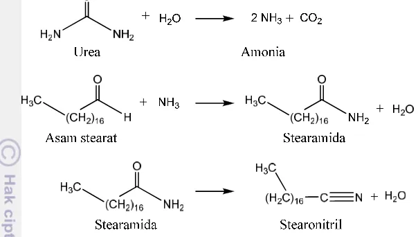Gambar 10  Tahapan sintesis nitril melalui stearamida 