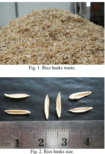 Fig. 1. Rice husks waste. 
